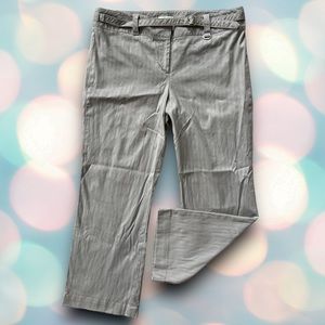 Ann Taylor LOFT Women’s Beige Light Gray Mid-Rise Pants Slacks Size 12